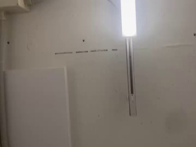 天井を映した実際の入力画像。蛍光灯と天井板