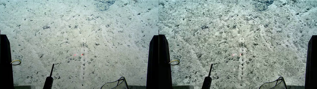 水中映像の処理前後の比較（左：処理前／右：処理後）