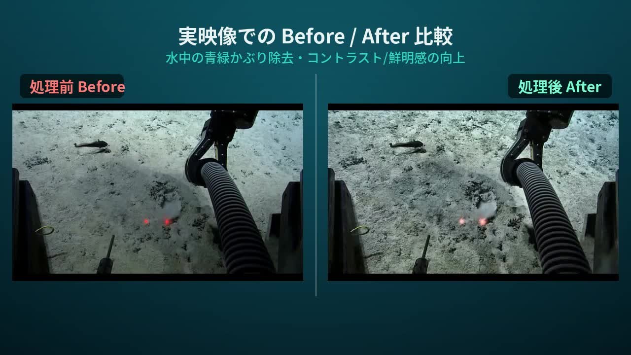 濁った水中映像を色補正・鮮明化する ― 水中映像強調システム